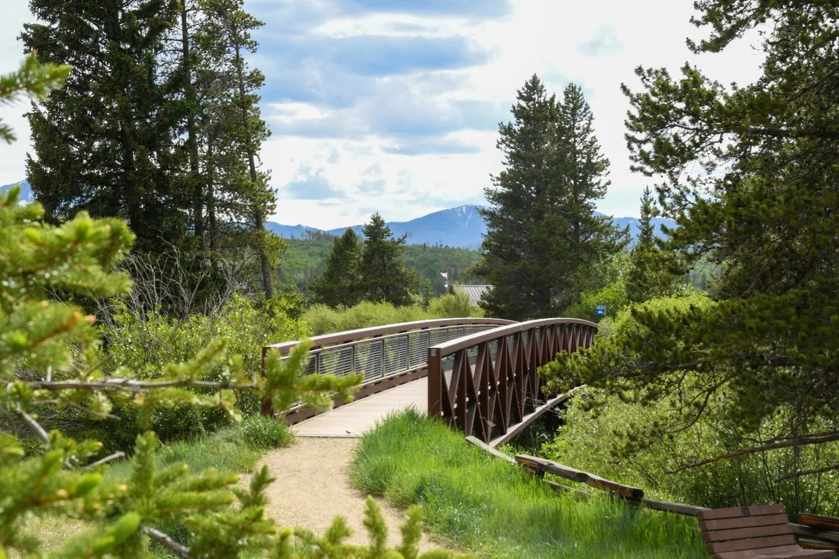 A tranquil wooden bridge spans a natural landscape of trees and distant mountains. The scene invites exploration—perfect for hiking, bird watching, and enjoying panoramic views, aligning with the area's many seasonal outdoor activities.